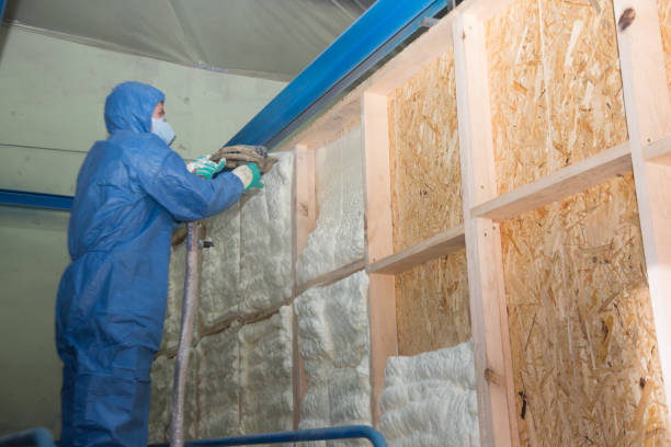 Best Attic Insulation Installation  in USA